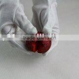 50mm Red Clawn Sponge With Glitter thumbnail-1