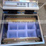Double Food Vacuum Pump Packaging Machine thumbnail-4