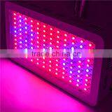 Best Price of High Intesity High Lumens Output 300w Led Grow Light for Plants Grow thumbnail-4
