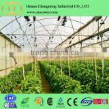 Cheap Polycarbonate Agricultural Greenhouse , Low Cost Tunnel Plastic Greenhouse for Sale thumbnail-2
