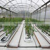 Poly Tunnel Agricultural Greenhouse thumbnail-2