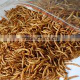 100% Natural and Nutrient Cheap Chicken Feed Dried Mealworms thumbnail-1