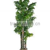 SJ12001162 Wholesale Mini Plam Artificial thumbnail-3