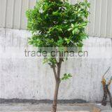Decoration Artificial Potted Fruit Tree Bonsai Manufacture LGH15-06 thumbnail-4
