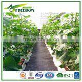Weed Control Fabaric of 80g-200g per Square Meter thumbnail-1