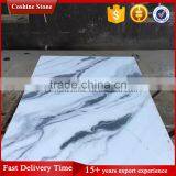 2017 New Surface China White Black Panda Marble Tile thumbnail-6