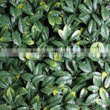 Artificial Grass Mat for Make Hedge thumbnail-2