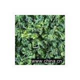 Sell Dehydrated Broccoli Florets 30mm