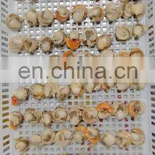 Frozen Farreri Scallop Frozen Scallop Meat thumbnail-5