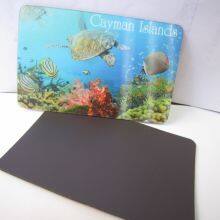 Souvenir Promotional Gifts 3D Lenticular Fridge Magnet thumbnail-5