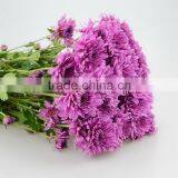 Good Quality Hotsell Factory Direct Flock Chrysanthemum thumbnail-5