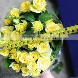 Durable Sprayed Rose Gold Rose Valentines Gift thumbnail-3