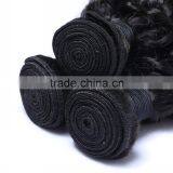 WJ002 5A Grade 100% Virgin Kinky Afro Curl Ombre Hair Extension Supplier's Choice thumbnail-6