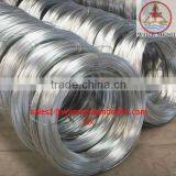 Galvanized Iron Wire BWG21/galvanized Wire