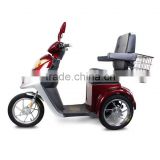 New Design Brushless Motor Electric Tricycle Scooter