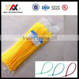 4'' 6'' 8'' 10'' Length Nylon66 Plastic Cable Tie Size