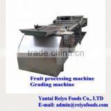 Fruit Stem Removing Machine / Chilli Stem Removing Machine thumbnail-2