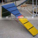 Folded Functional A Frame Pet Dog Agility Dog Long Walk Training