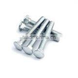 Full Threaded Carriage Bolts DIN603 thumbnail-1