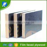 Building Templates ,Construction Plywood Film Faced Plywood thumbnail-3