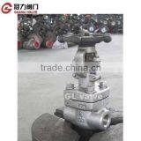 Forged Gate Valve thumbnail-1