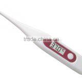 Fahrenheit & Celsius Medical Digital Thermometer thumbnail-3