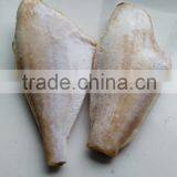 Frozen Leather Jacket Fish thumbnail-6