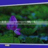 19" Open Frame High Brightness LCD Totem Billboard