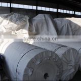 laminated pp woven fabric in roll/pp transparent&white woven fabric in rolls