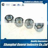 Nylon Insert Self Locking Nut Regular Type T Class6,8,10,12 DIN985