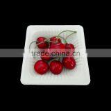 Corn Starch Material Disposable Feature Fruit Plate
