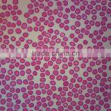 Direct Factory for Lab Use Hematology Prepared Slides Blood Smear