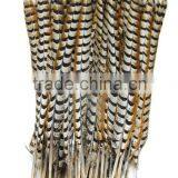 No.1 Manufactor ZPDECOR Best Selling Cheap Long Natural 60-70cm Length Reeves Venery Pheasant Tail Feathers thumbnail-2