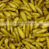 Pickled Pepper, Pickled Rod Chilli, Pickled Capsicum Frutescens thumbnail-4