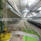 Automatic Rabbit Equipment thumbnail-3