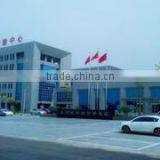 Shanxi Qinghe Trading Co., Ltd. company overview - view 1 thumbnail