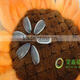 Sunflower Seeds From China thumbnail-3