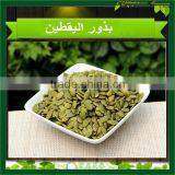 2015 New AA Pumpkin Seed Kernels thumbnail-1