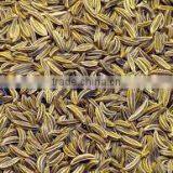 Cumin Seed Oleoresin Natural