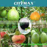 Fulvic Super Organic Fertilizer in Agriculture thumbnail-1