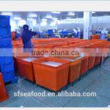 Export to Thailand Frozen Illex Squid thumbnail-2