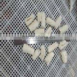 High Quality Frozen Cooked Squid Seafood thumbnail-1