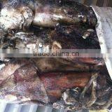 Frozen Peru Squid thumbnail-1