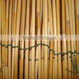 Natural Fern Fence thumbnail-2