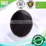 Health Quality Fermented Peeled Black Garlic--HC Company thumbnail-3