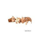 Sell Plush Dog thumbnail-1