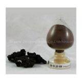 Polyporus Umbellatus Extract Plant Extract Factory thumbnail-1