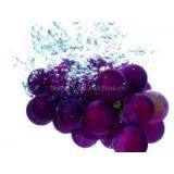 Grape Seed Extract/Procyanidins/Polyphenols Grape Seed Extract/Procyanidins/Polyphenols