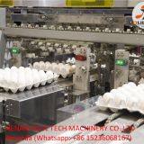 Poultry Farming Automatic Chicken Egg Grading Machine for Sale