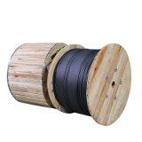 Aramid Yarn Armoured ADSS Professional Manufacturer thumbnail-2